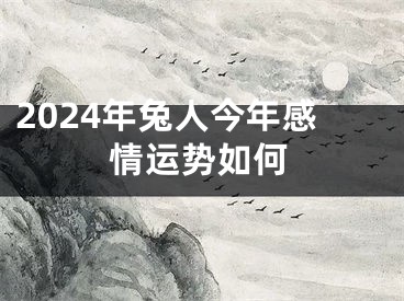 2024年兔人今年感情运势如何
