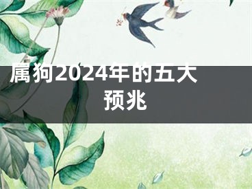 属狗2024年的五大预兆