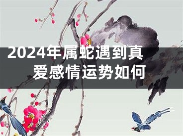2024年属蛇遇到真爱感情运势如何