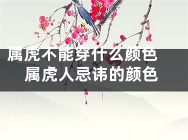 属虎不能穿什么颜色 属虎人忌讳的颜色