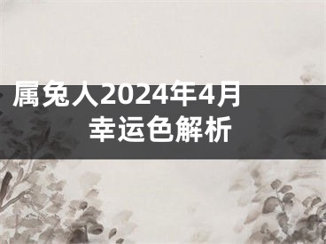 属兔人2024年4月幸运色解析