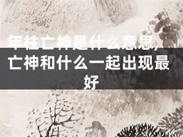 年柱亡神是什么意思,亡神和什么一起出现最好