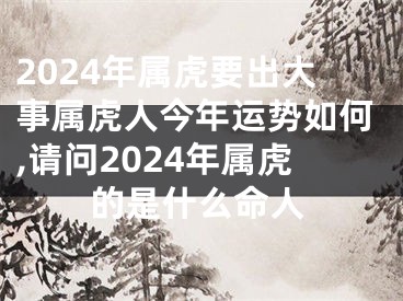 2024年属虎要出大事属虎人今年运势如何,请问2024年属虎的是什么命人