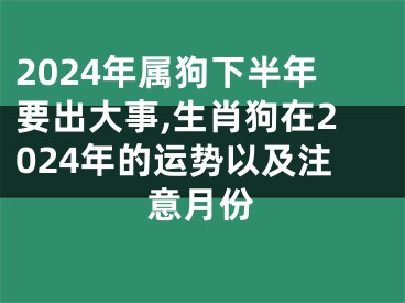 2024年属狗下半年要出大事,生肖狗在2024年的运势以及注意月份
