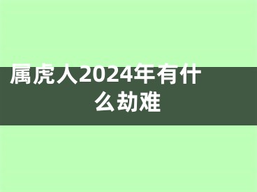 属虎人2024年有什么劫难
