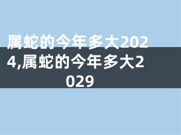 属蛇的今年多大2024,属蛇的今年多大2029