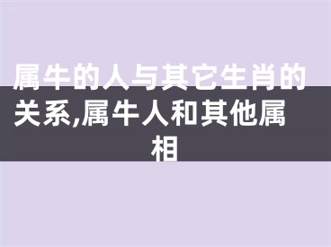 属牛的人与其它生肖的关系,属牛人和其他属相
