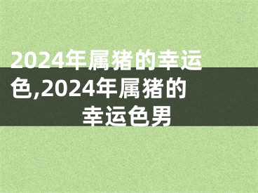 2024年属猪的幸运色,2024年属猪的幸运色男