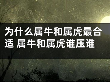 为什么属牛和属虎最合适 属牛和属虎谁压谁