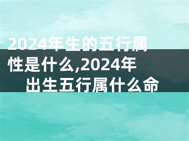 2024年生的五行属性是什么,2024年出生五行属什么命