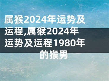 属猴2024年运势及运程,属猴2024年运势及运程1980年的猴男