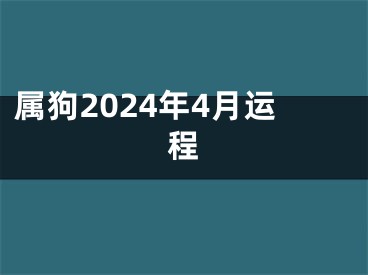 属狗2024年4月运程