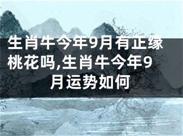 生肖牛今年9月有正缘桃花吗,生肖牛今年9月运势如何