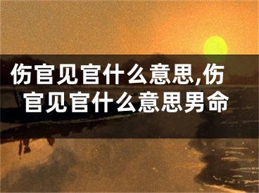 伤官见官什么意思,伤官见官什么意思男命