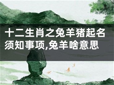十二生肖之兔羊猪起名须知事项,兔羊啥意思