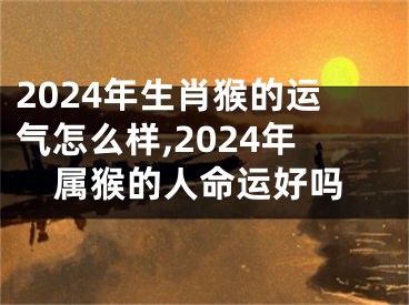 2024年生肖猴的运气怎么样,2024年属猴的人命运好吗