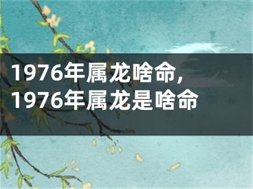 1976年属龙啥命,1976年属龙是啥命