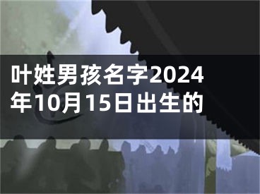 叶姓男孩名字2024年10月15日出生的