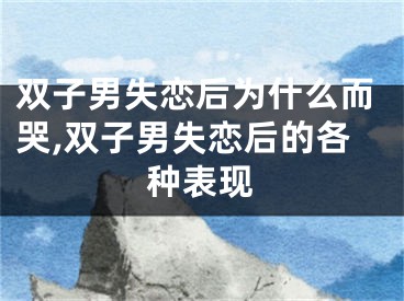 双子男失恋后为什么而哭,双子男失恋后的各种表现