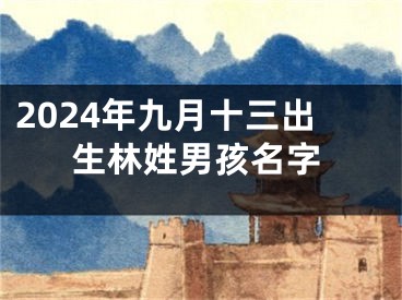 2024年九月十三出生林姓男孩名字