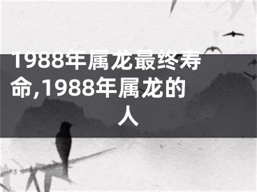 1988年属龙最终寿命,1988年属龙的人