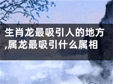 生肖龙最吸引人的地方,属龙最吸引什么属相