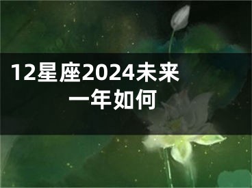 12星座2024未来一年如何 