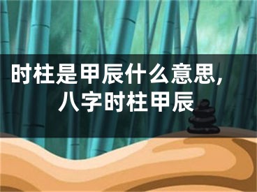 时柱是甲辰什么意思,八字时柱甲辰