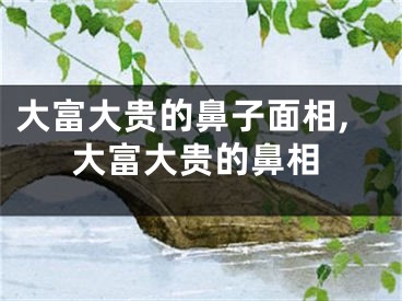 大富大贵的鼻子面相,大富大贵的鼻相