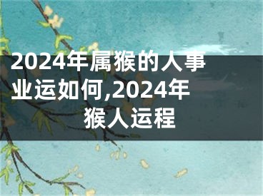 2024年属猴的人事业运如何,2024年猴人运程