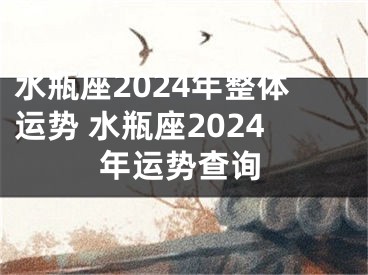 水瓶座2024年整体运势 水瓶座2024年运势查询