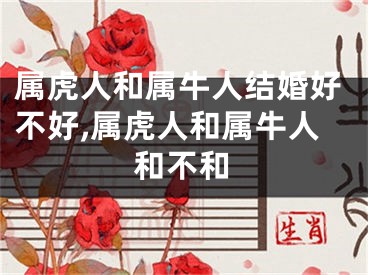 属虎人和属牛人结婚好不好,属虎人和属牛人和不和