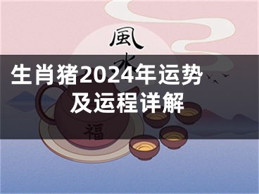 生肖猪2024年运势及运程详解