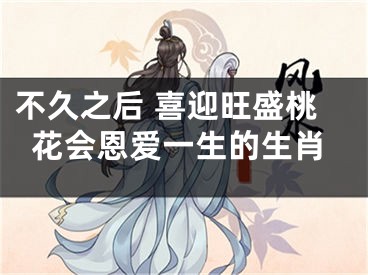 不久之后 喜迎旺盛桃花会恩爱一生的生肖