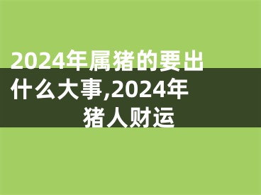 2024年属猪的要出什么大事,2024年猪人财运