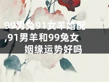 99男兔91女羊婚配,91男羊和99兔女姻缘运势好吗