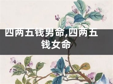 四两五钱男命,四两五钱女命
