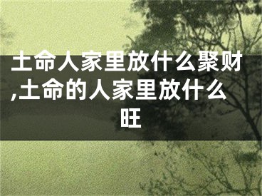 土命人家里放什么聚财,土命的人家里放什么旺