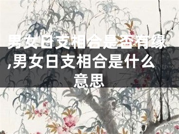 男女日支相合是否有缘,男女日支相合是什么意思