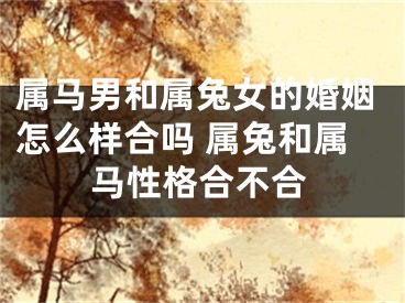 属马男和属兔女的婚姻怎么样合吗 属兔和属马性格合不合