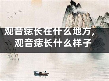 观音痣长在什么地方,观音痣长什么样子