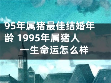 95年属猪最佳结婚年龄 1995年属猪人一生命运怎么样