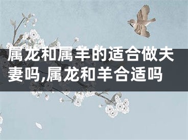 属龙和属羊的适合做夫妻吗,属龙和羊合适吗