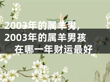2003年的属羊男,2003年的属羊男孩在哪一年财运最好