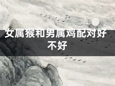 女属猴和男属鸡配对好不好