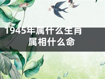 1945年属什么生肖属相什么命