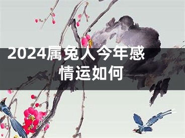 2024属兔人今年感情运如何