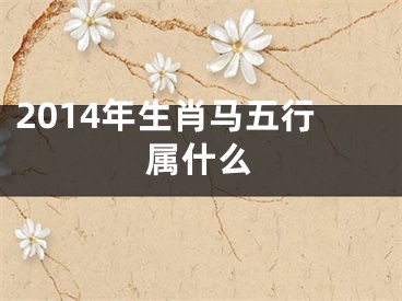 2014年生肖马五行属什么