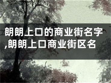 朗朗上口的商业街名字,朗朗上口商业街区名