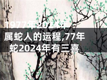 1977年2024年属蛇人的运程,77年蛇2024年有三喜